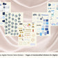 January Monthly Digital Stickers